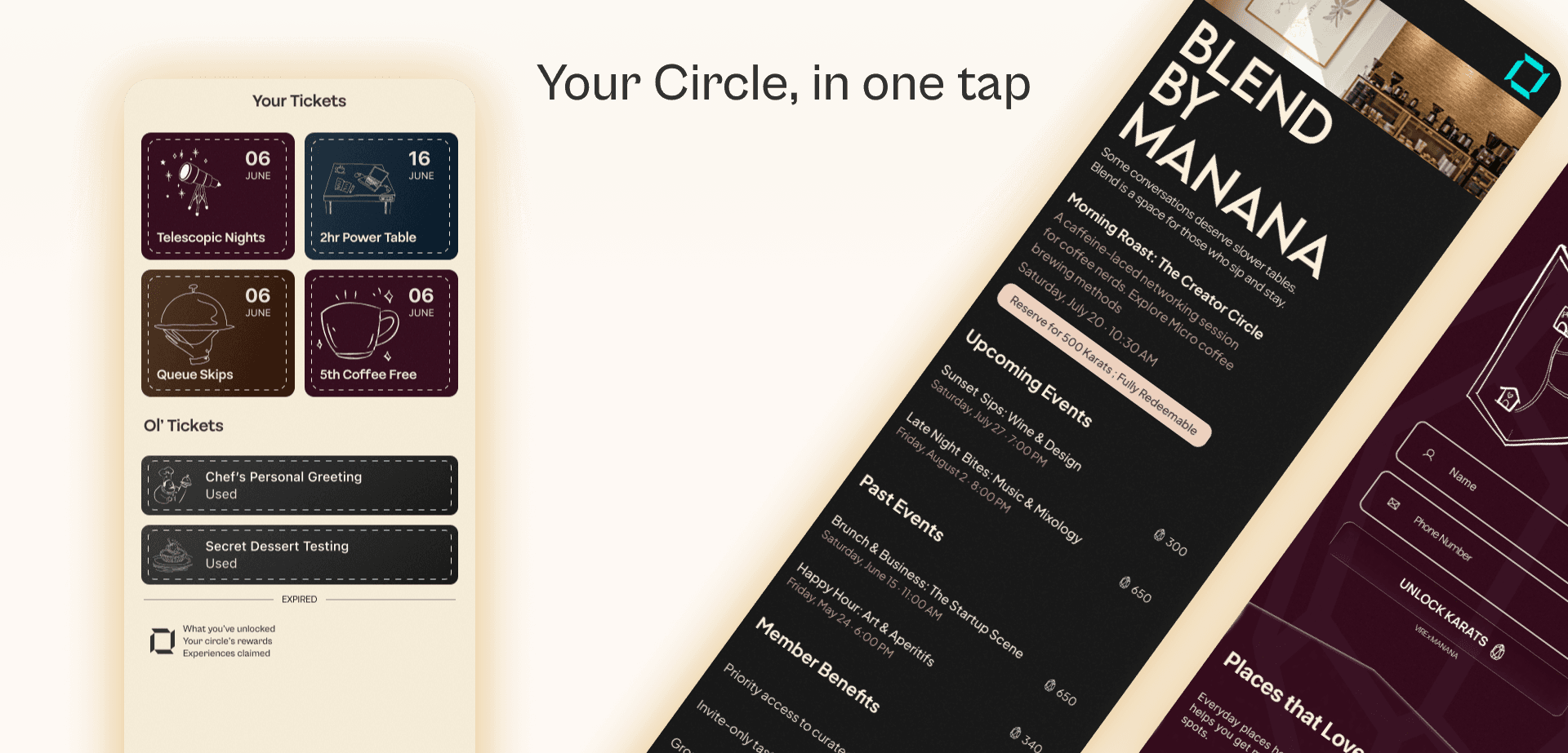 Mobile App Preview - VIRE Karats Experience